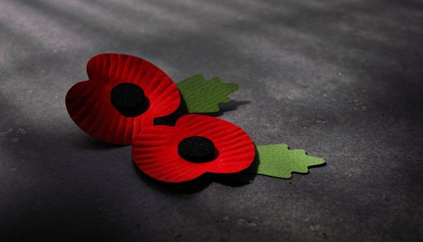 Two red poppies laying on a dark stone background